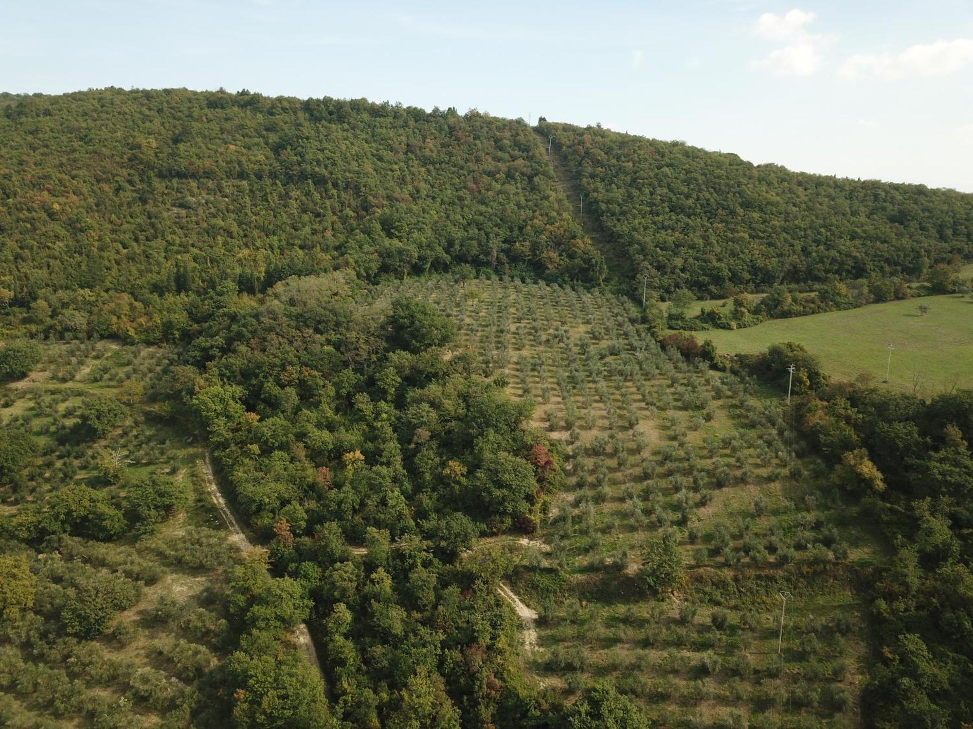 فيلا Fattoria Poggio Di فيسولي المظهر الخارجي الصورة
