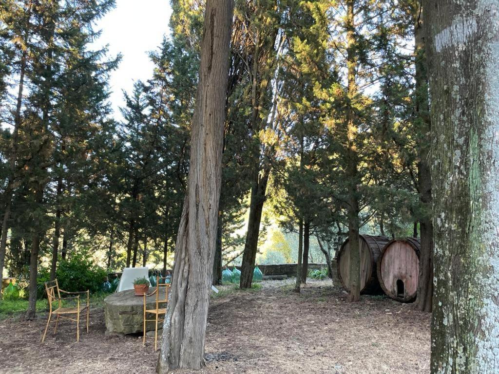 فيلا Fattoria Poggio Di فيسولي المظهر الخارجي الصورة
